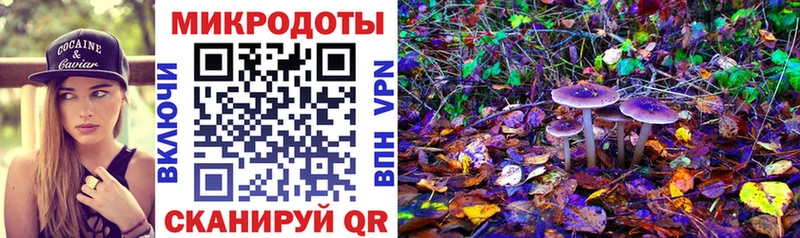 где купить наркоту  mega ССЫЛКА  Псилоцибиновые грибы MAGIC MUSHROOMS  Харабали 